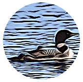Loon Bay LLC
